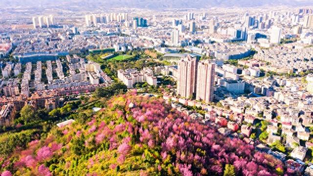 介绍玉溪的导游词200字_玉溪导游协会_介绍玉溪的导游词