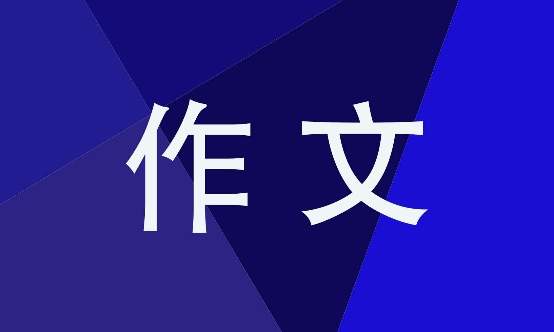 我有一个想法作文300字